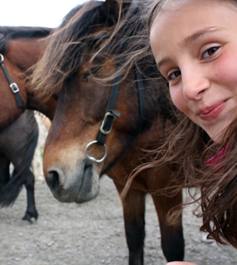 A young girl and Icelandic horses